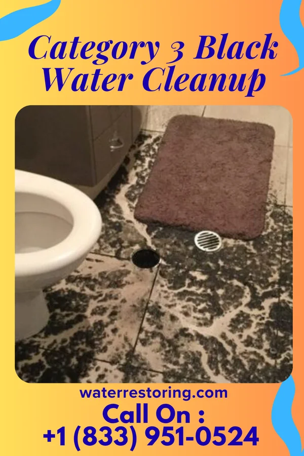 Category 3 Black Water Cleanup in Armada, MI