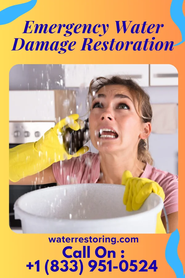 Emergency Water Damage Restoration in Armada, MI