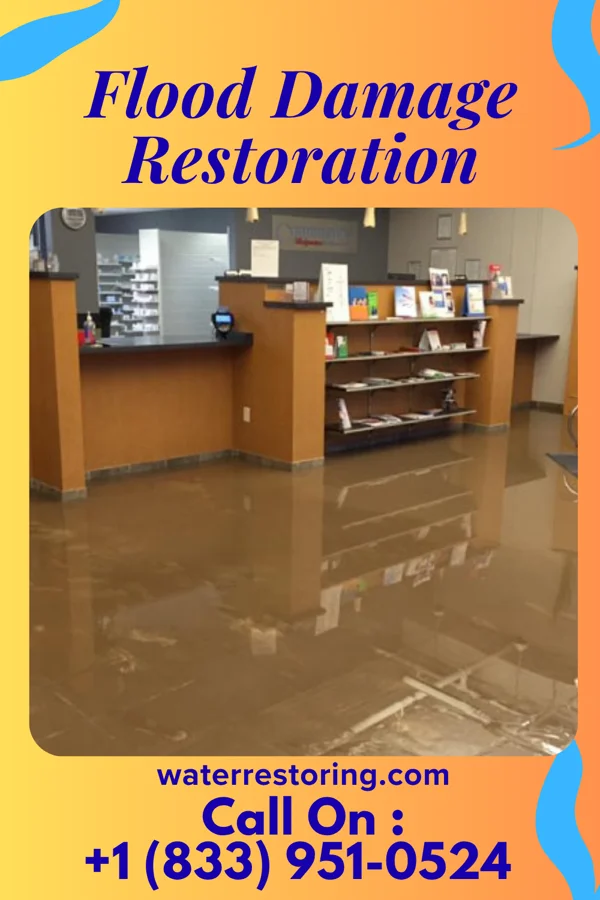 Flood Damage Restoration in Armada, MI
